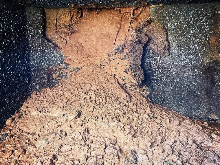 Dark septic tank inlet baffle exposed during a diagnosis